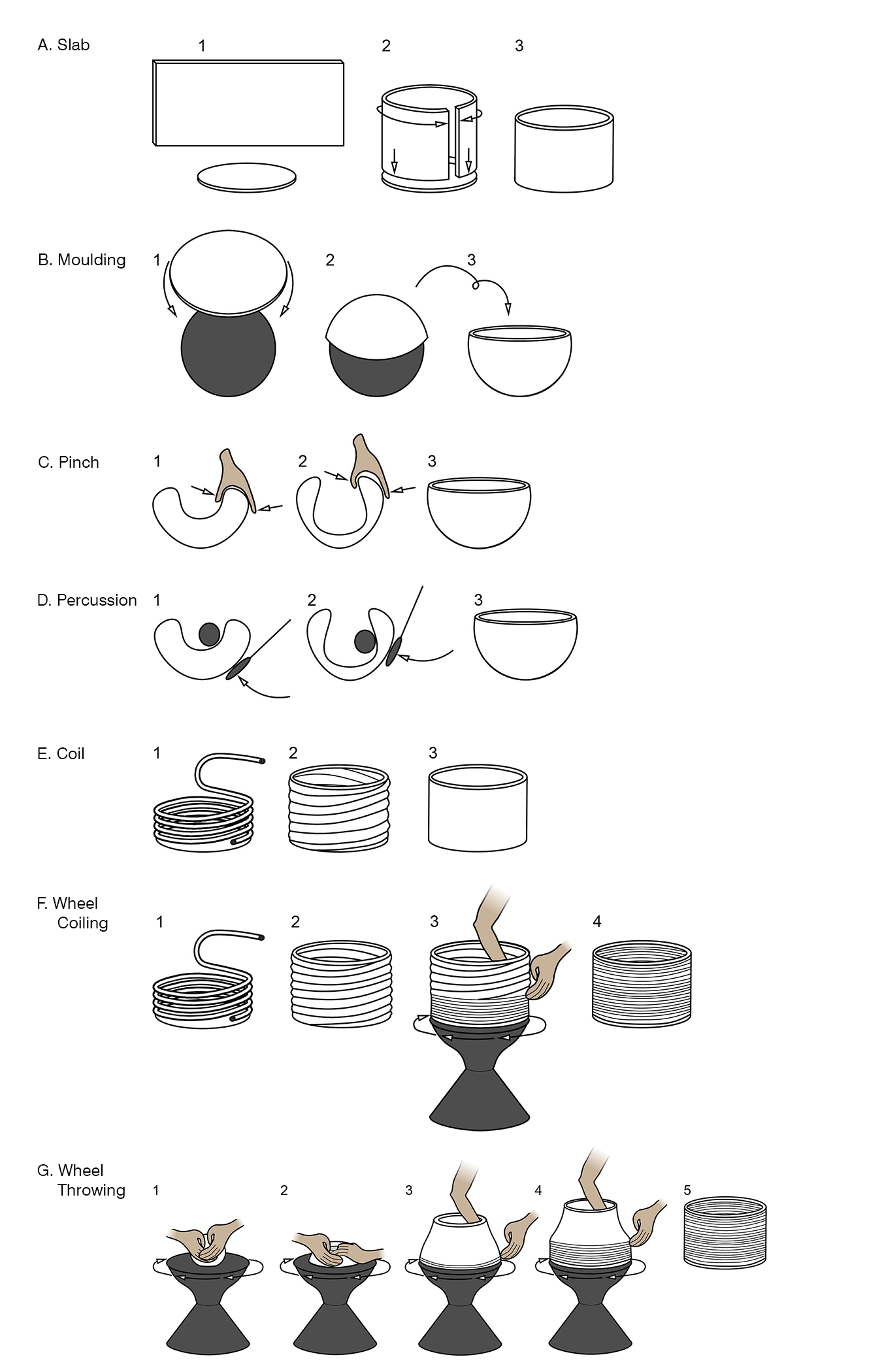 Forming techniques discussed in text. Image by Désirée Campolo and Caroline Jeffra 