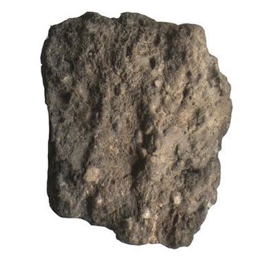 type 1