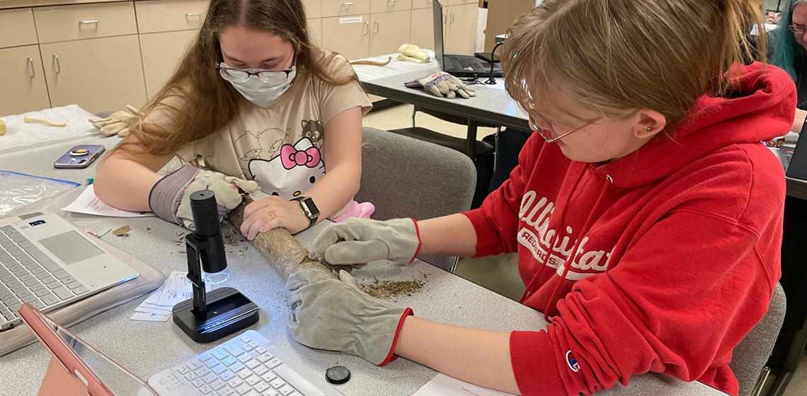 Course-based Undergraduate Research Experience 