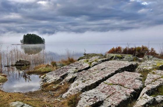 Guided Tour through Högsbyn's Rock Carving area in Dalsland