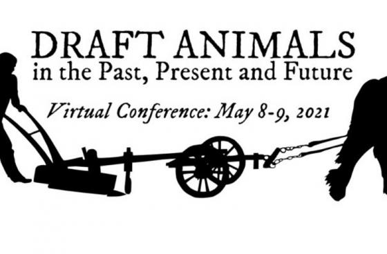 Draft Animals - Past, Present and Future