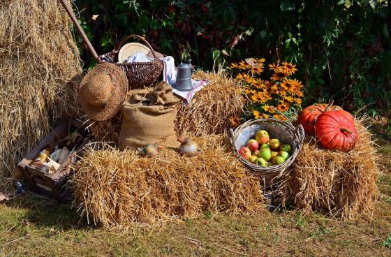 Harvest Festival