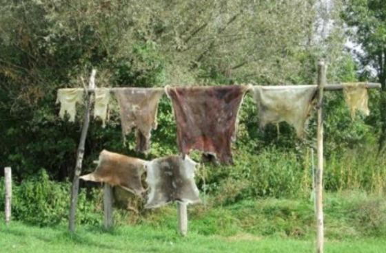 Leather Tanning