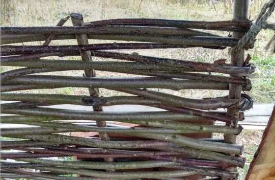 Construction of a Double Wattle Wall with Daub