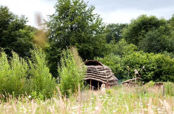 EAD21 in Steinzeitpark Dithmarschen